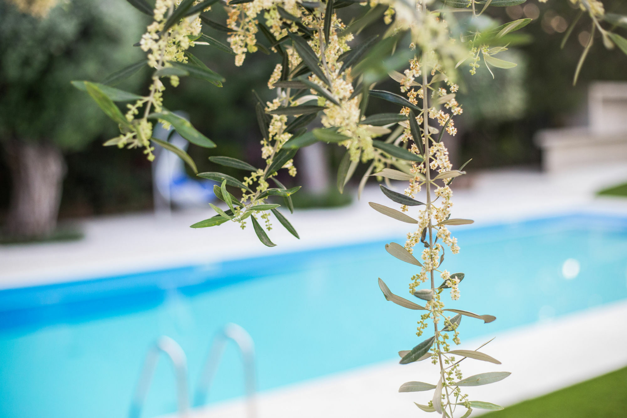 Corina Suites And Apartments Limassol Ngoại thất bức ảnh